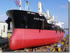 S-1096 SIDER MOON ばら積み貨物船
